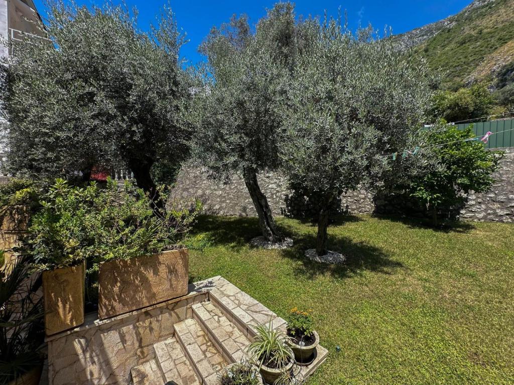 Olive Residence Rezevici - 3