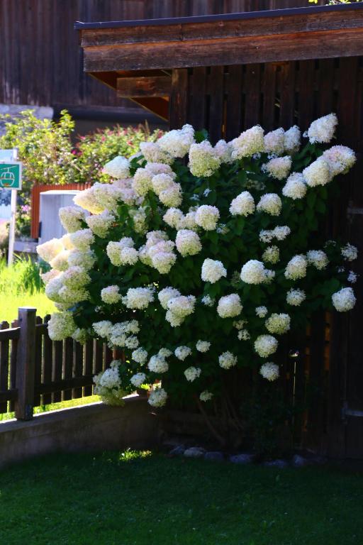 Schoberhof - 4