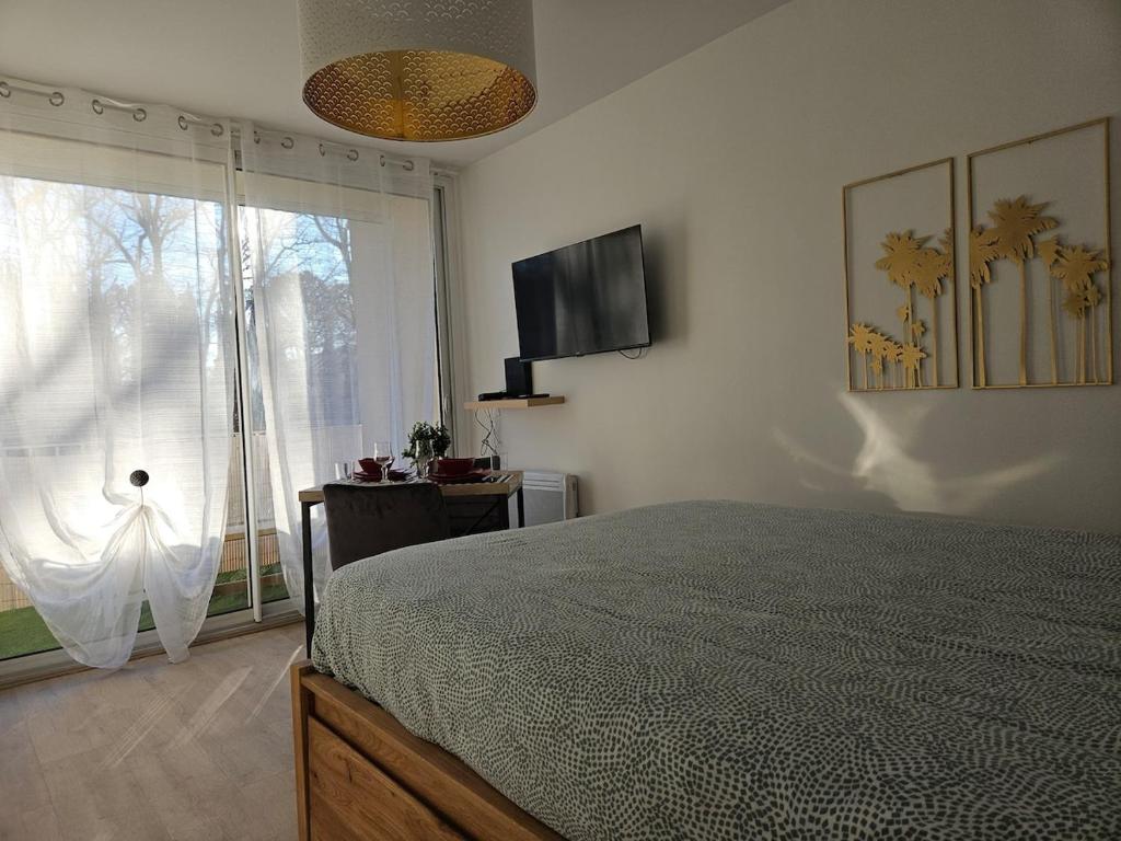 Studio moderne, calme, climatisé - 5