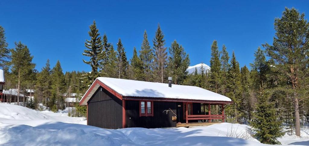 Sauna | Wi-Fi | Terrace | Wood stove | Cable TV, Lofsdalen