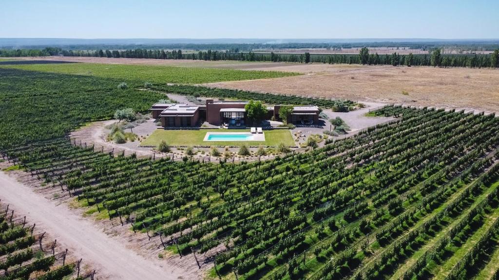 Casa Crux - Bodega Alfa Crux - 2