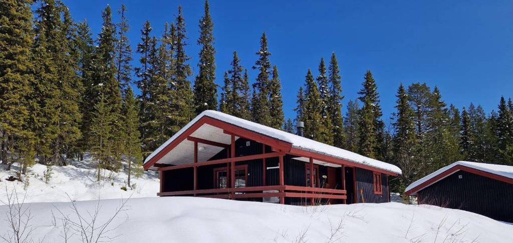 Sauna | Wi-Fi | Terrace | Wood stove | Cable TV, Lofsdalen