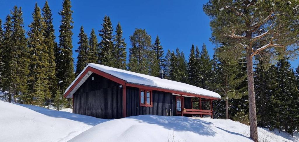 Sauna | Wi-Fi | Terrace | Wood stove | Cable TV, Lofsdalen