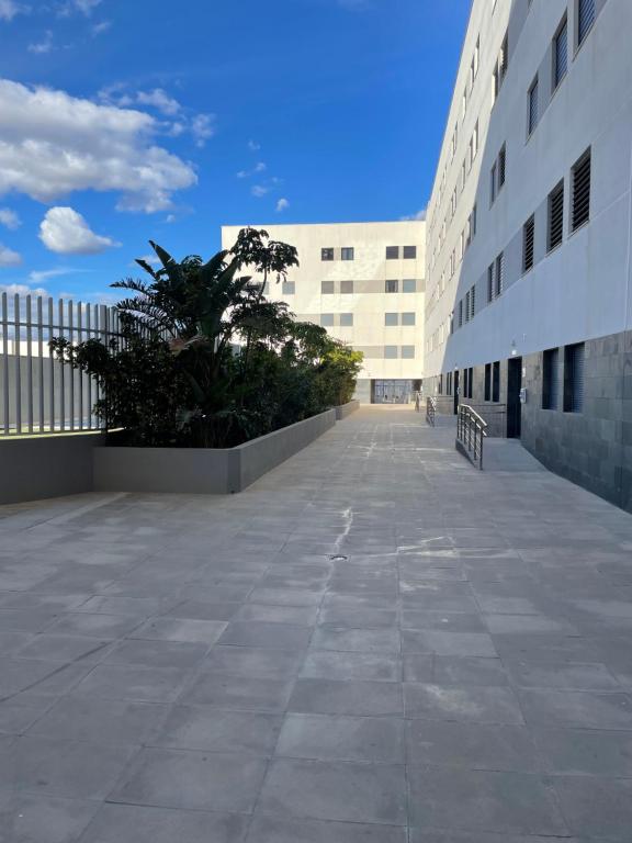 Albatros, Roquetas de Mar