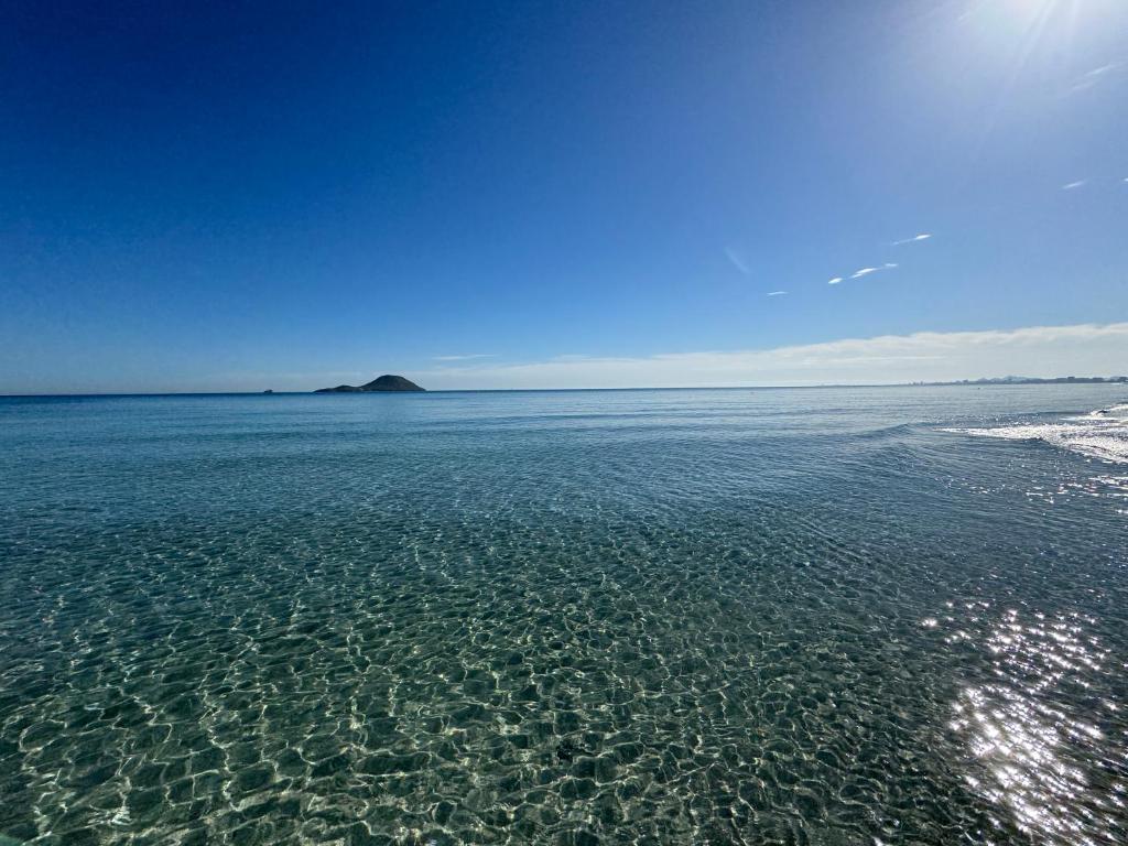 Las Palmeras - 4
