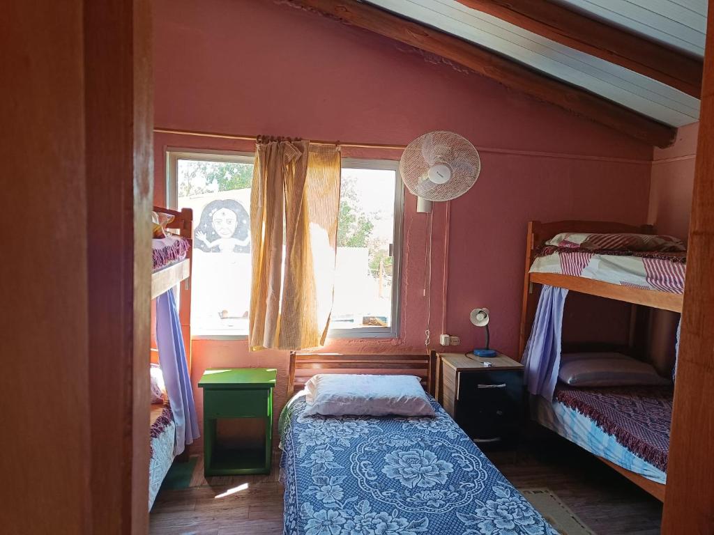 Hostel Lo de Milton - 5