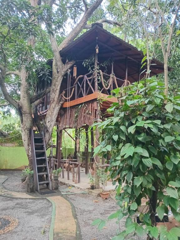 Mango Tree Hut udawalawe, Udawalawe