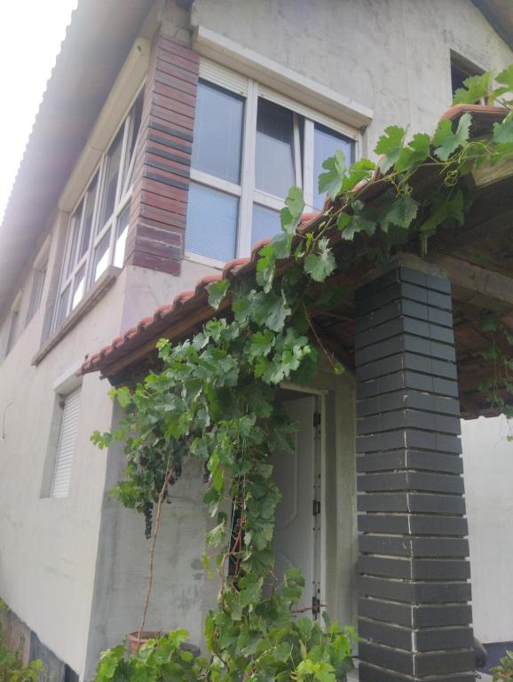 Summer house Belgrade - 3