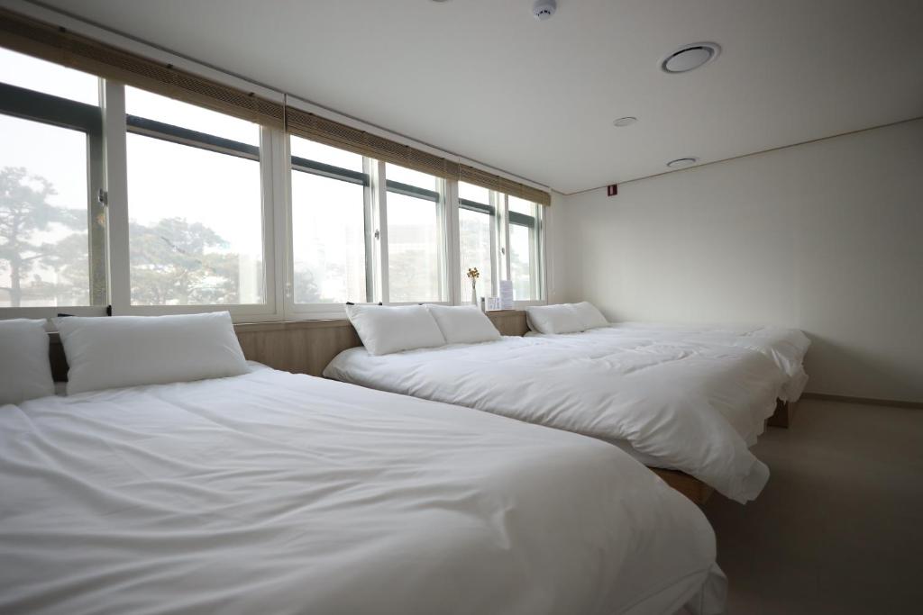 Manso Hostel in DDP