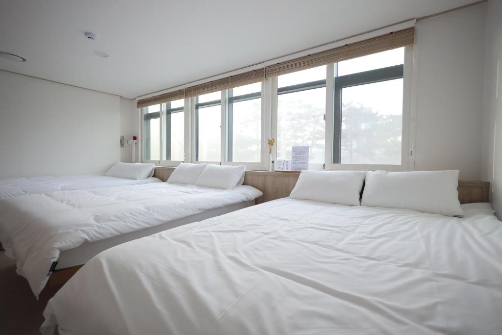 Manso Hostel in DDP