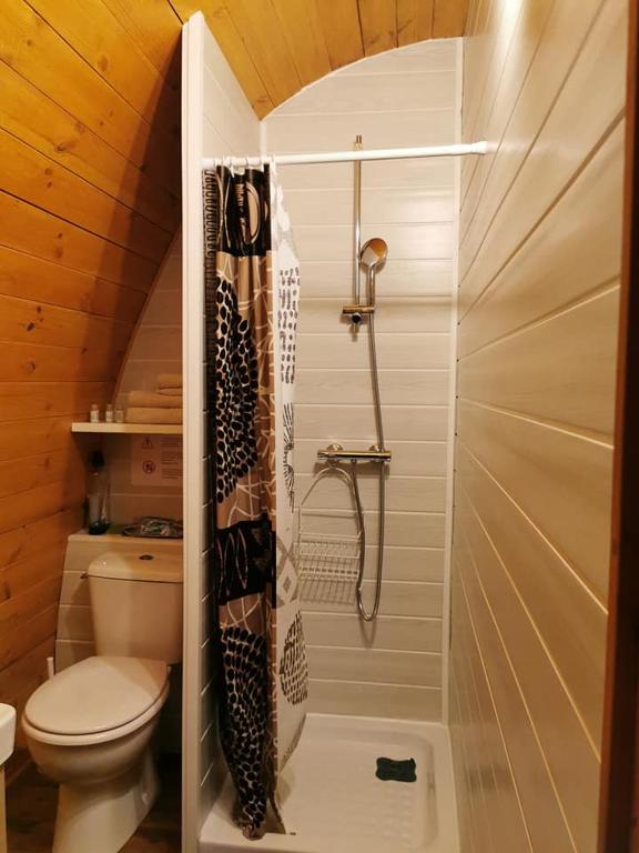 Ma cabane au fond du jardin - 3