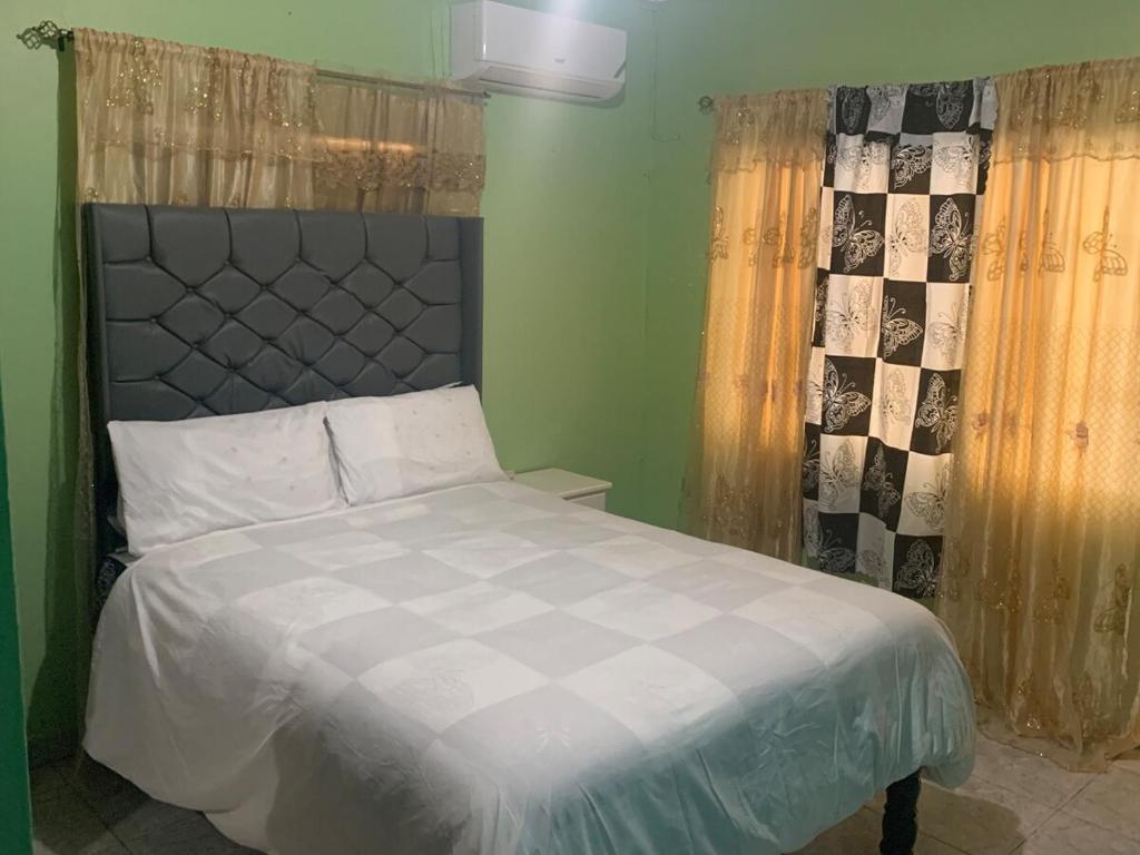 Netfa Cozy Gem, Kingston