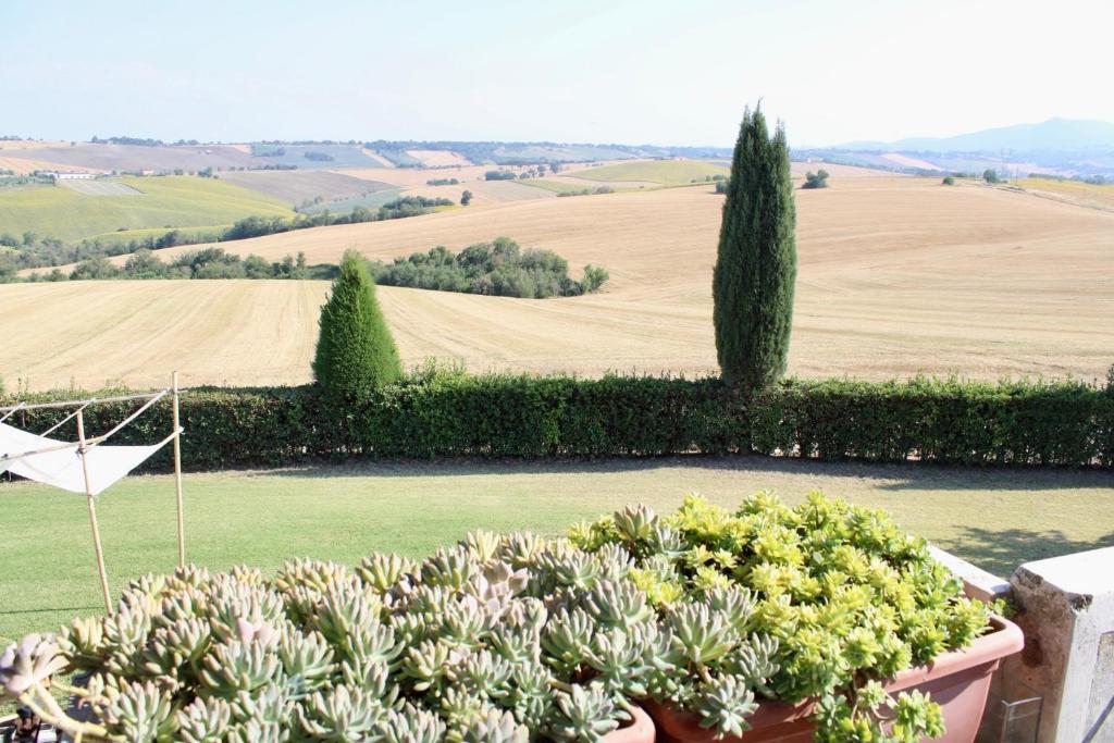 Casale Nonno Dario Balcone delle Marche Cingoli 전경
