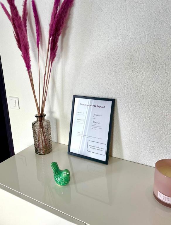 Duplex vue Mer Royan - 3