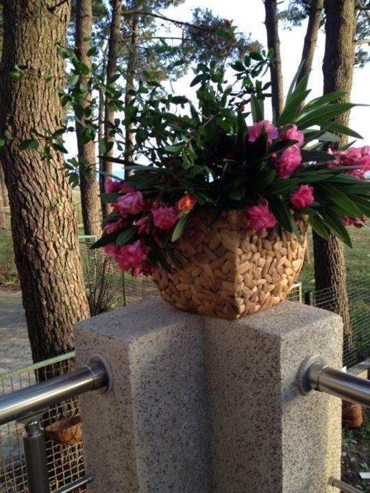 A szálláshely kívülről