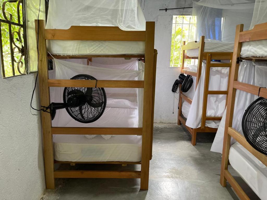 Casa Danam - 5