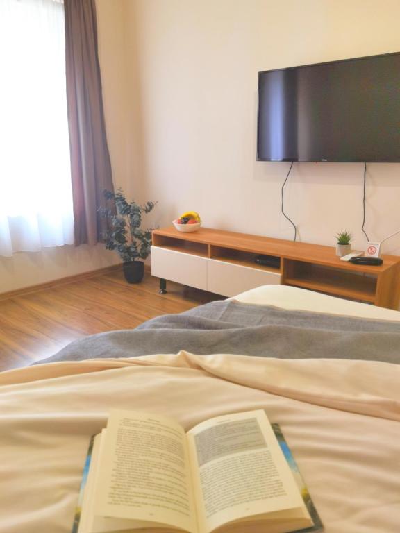 Dani Lux Belgrade Center Studio Apartment - 4