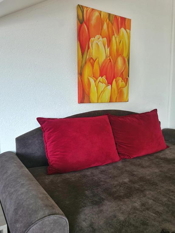 Vila Aleksandra 2 Studio 14 - 2