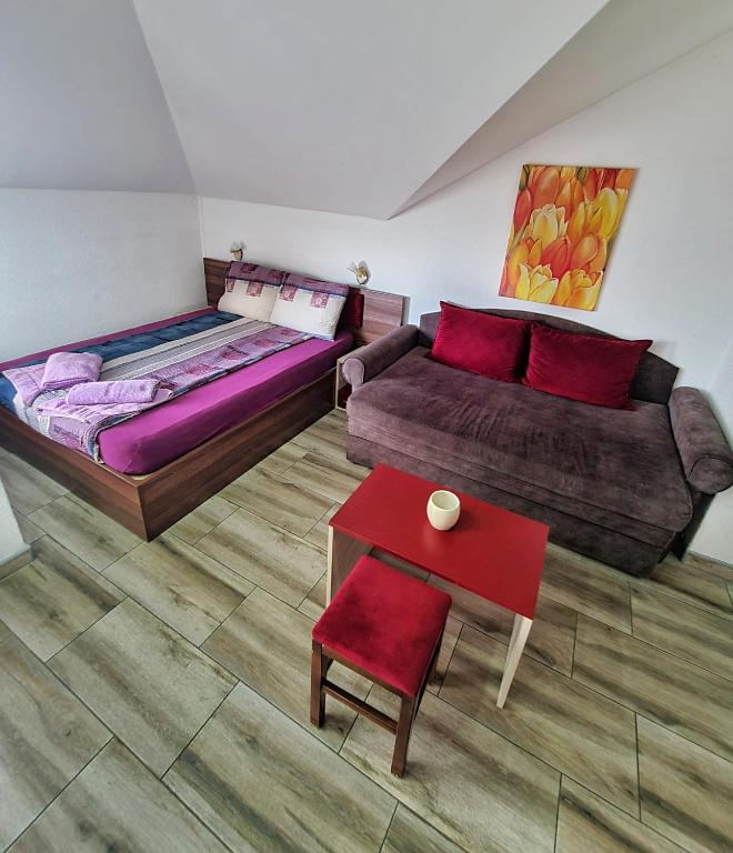 Vila Aleksandra 2 Studio 14 - 5