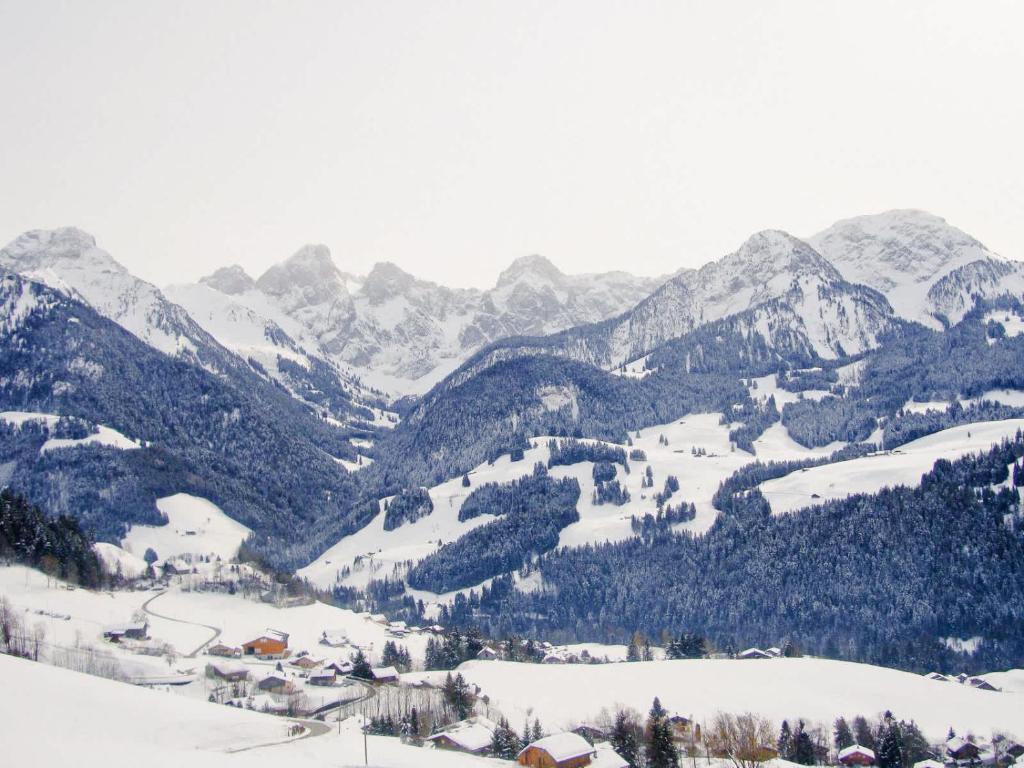 Charming Swiss Village Home With Pool Spa - 2