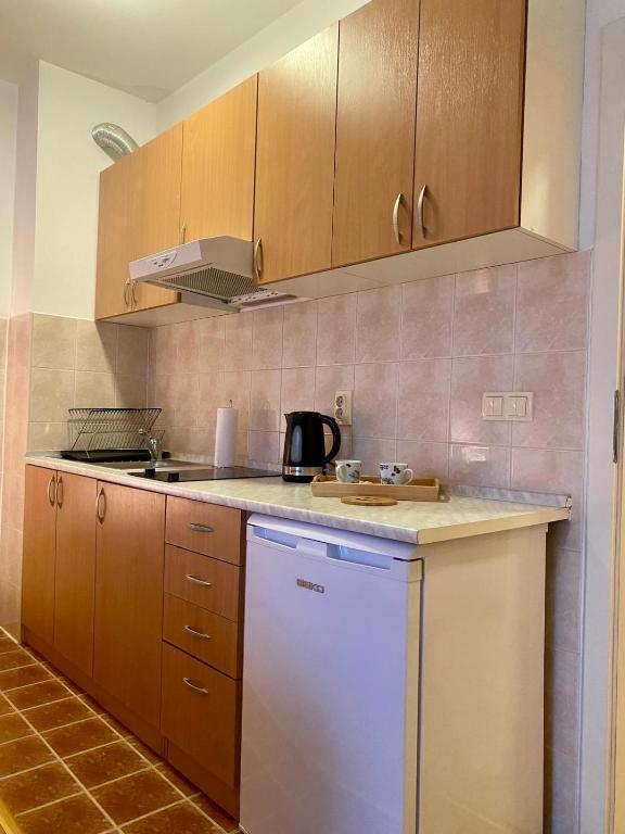 Apartment Victor - 2