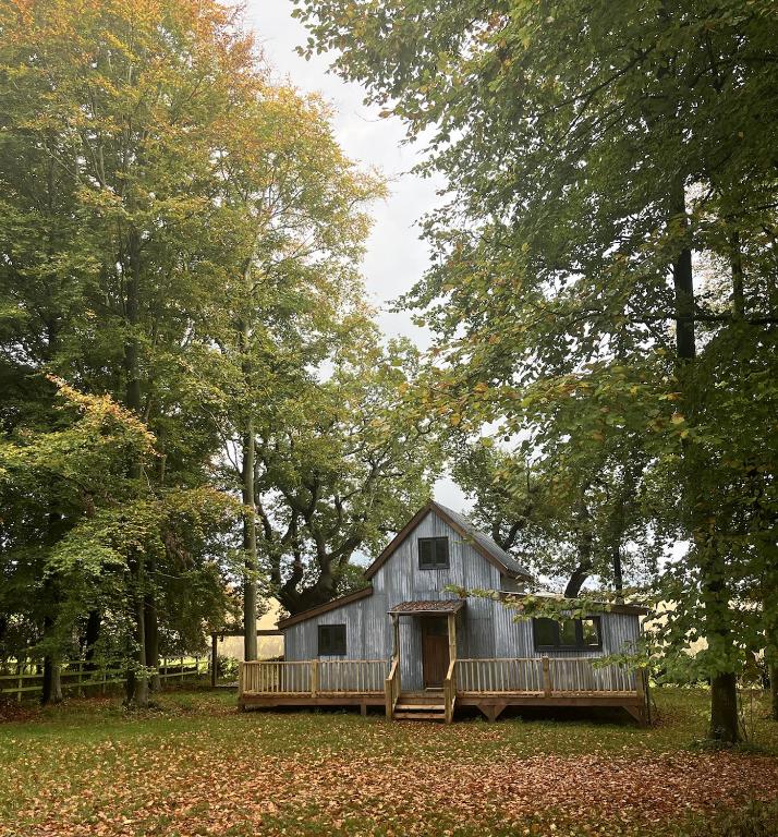 Moonshine, Kings Lynn