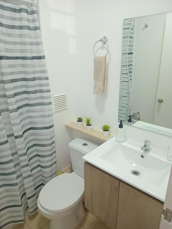 Dpto Nuevo, Full Equipado, 2D 1B, Céntrico, Mirador del Bio Bio, a minutos del Aeropuerto, Mall, Excelente Conectividad - 5