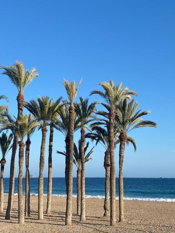 Villa Amarilla 4 Bed 3 Bath private pool - 4