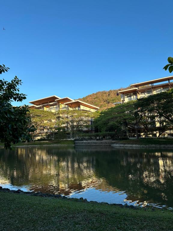 Surrounding environment