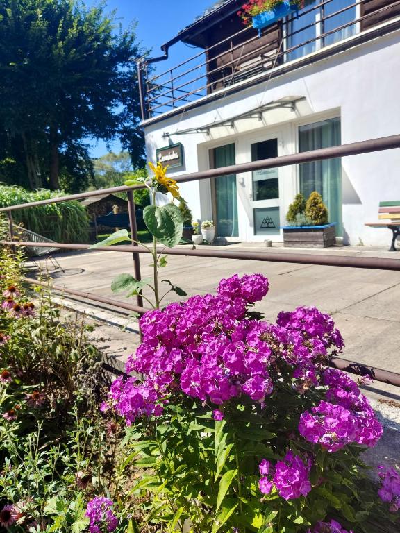 Leonówka Bieszczady, Cisna