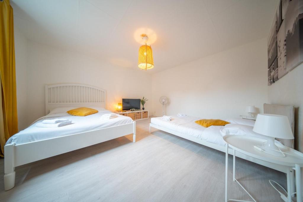 Very nice apartment - downtown Mulhouse Le 42 - 5