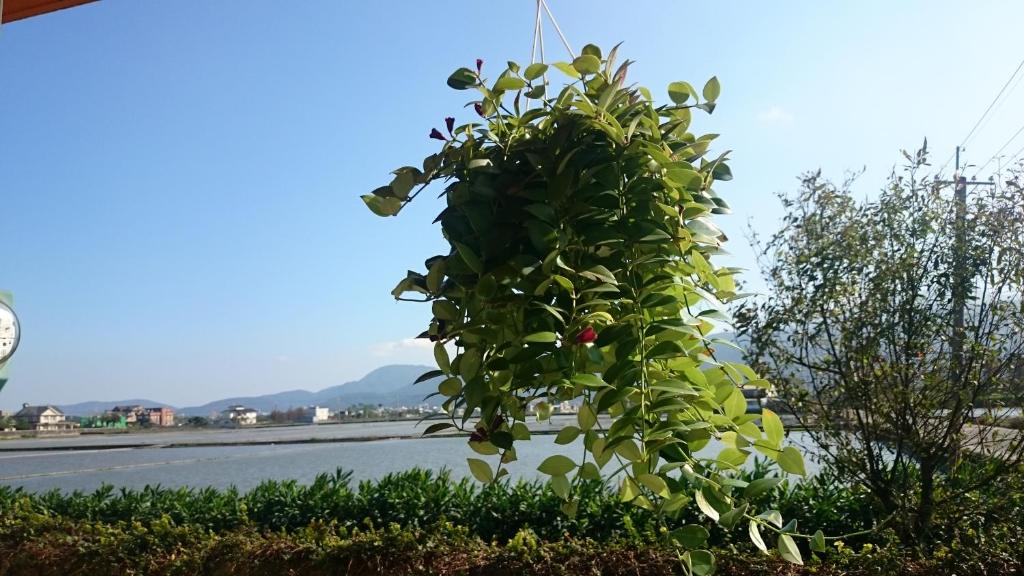 Surrounding environment