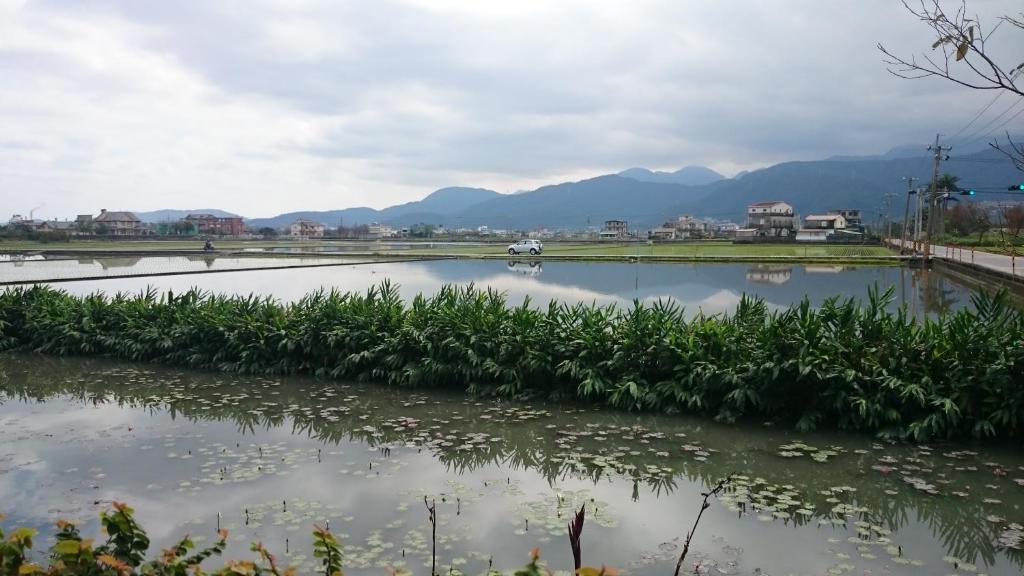 Surrounding environment