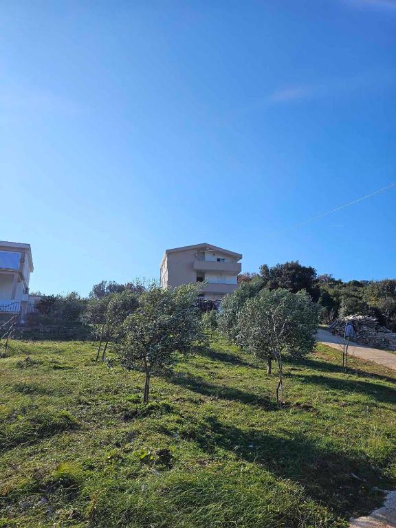 Plavi Horizont, Utjeha