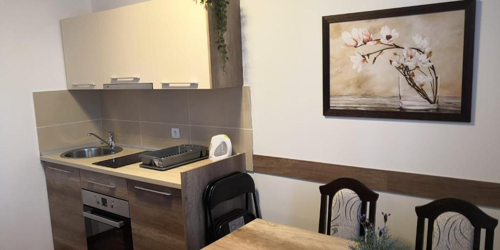 Kraljevi Cardaci SPA Aartment 1027 für 6 Personen - 3