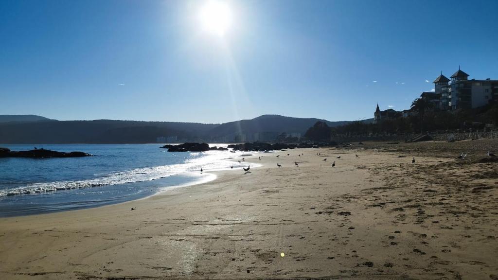 Precioso departamento con vista a la playa - 3