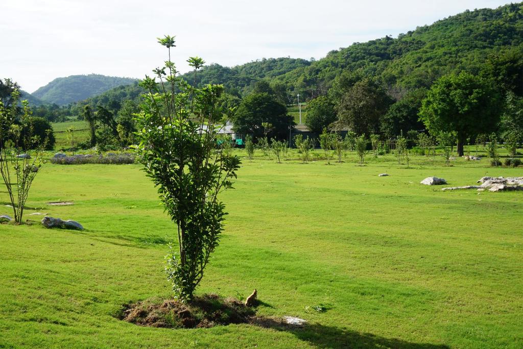 Surrounding environment
