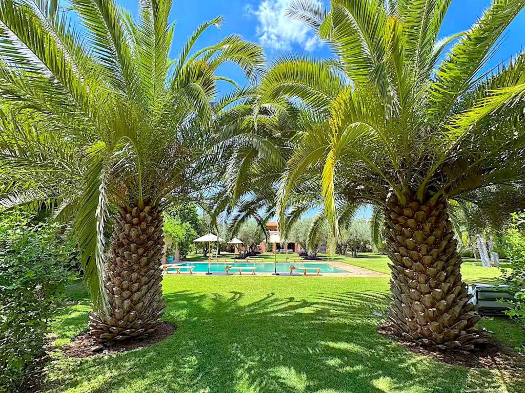 Palais Danka, Sraïri