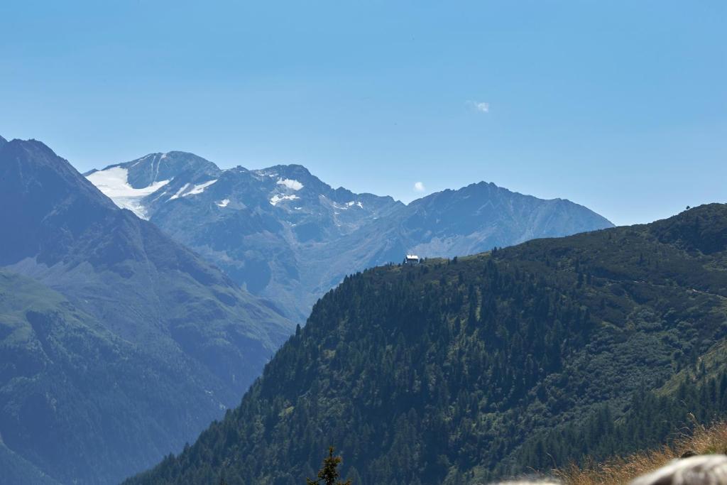 Surrounding environment