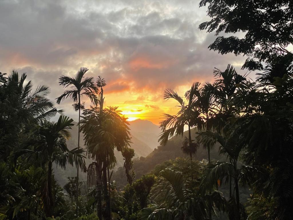 MoonGlaid View, Ella