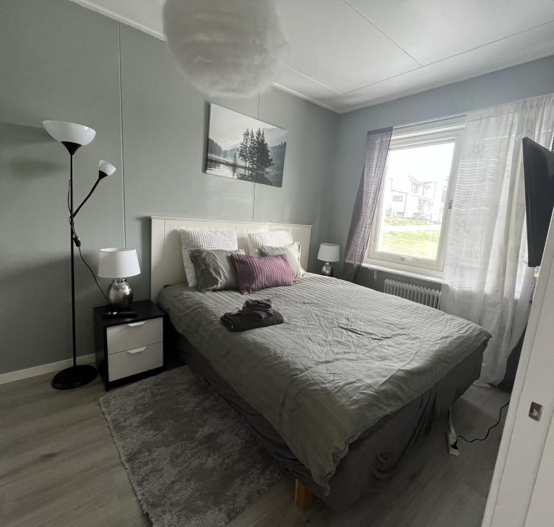 Vinter Paradis Hotel, Stugun