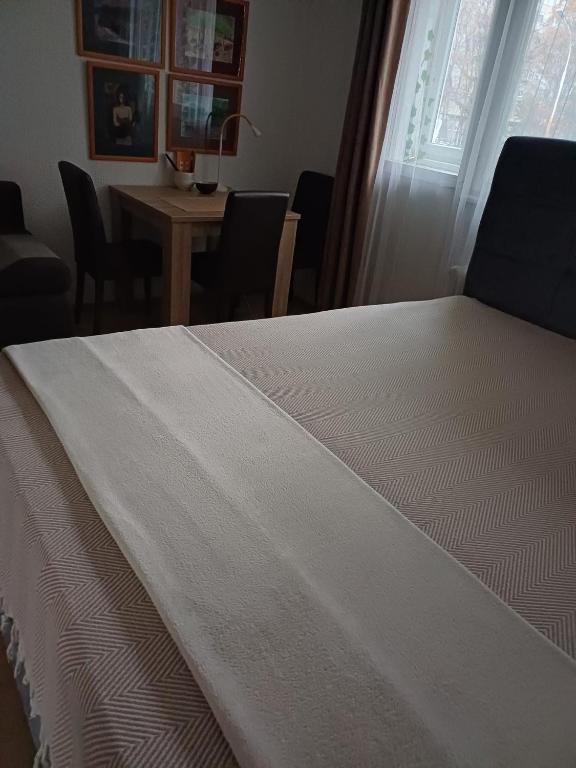 Fontana cozy apartment near Danube river - 3