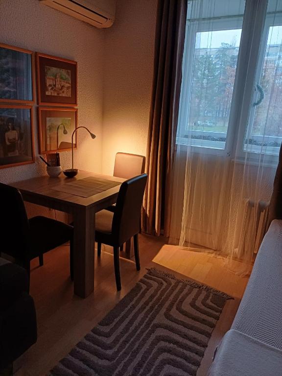 Fontana cozy apartment near Danube river - 5