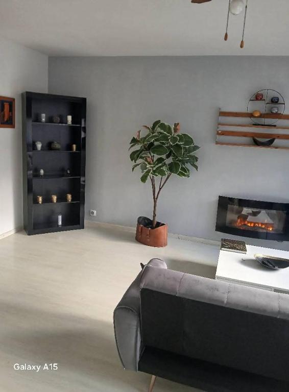 Jolie appartement - 5