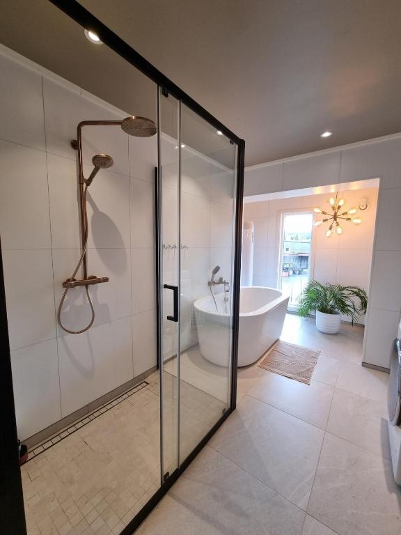 Kaldfjord borealis, Tromsø