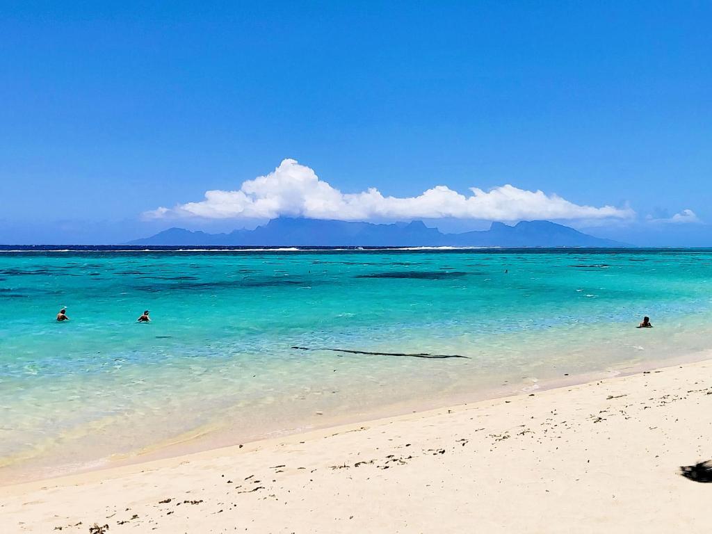TAHITI - Fare Vainato Beach, Punaauia