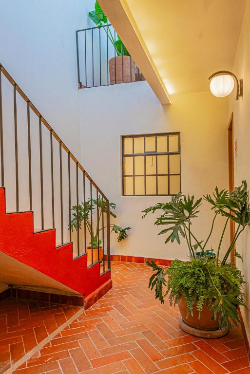 Casona Quetzal - 3