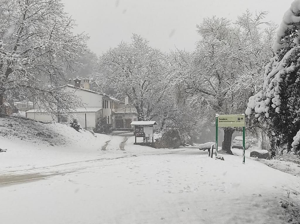 Dulce Posada - 2