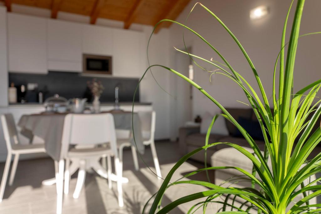 Delfina Home Mansarda, Vercana