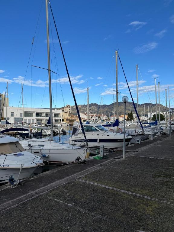 Apartamento planta baja con piscina en el edificio Royal Marine II - 1